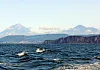 Морская прогулка на катере на О.Старичков3