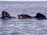 Путешествие на Северные курилы, 7 дней/6 ночей10