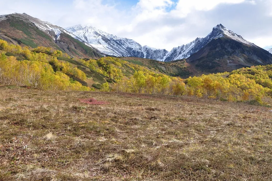 Бюджетная Камчатка, 9 дней/8 ночей15