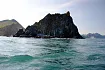 Круиз в бухту Русская "В гости к Сивучам" 4